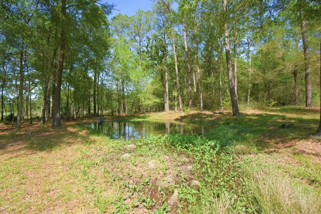 3102 Wilderness Way, Montgomery, TX 77316