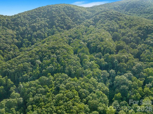 8 Carls Cove Road, Black Mountain, NC 28711