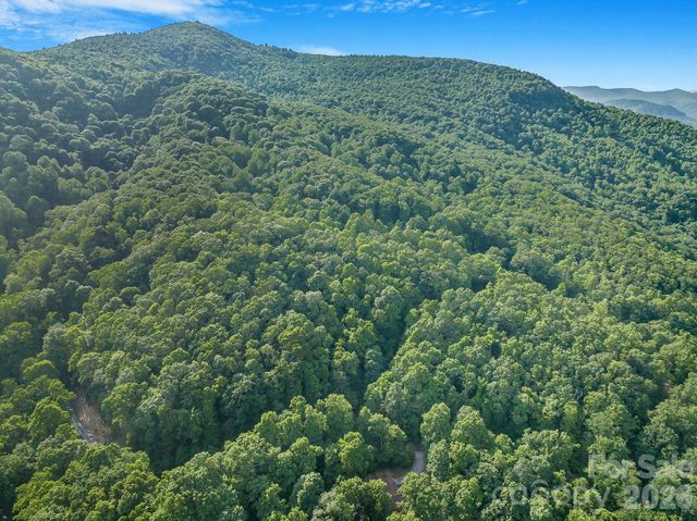 8 Carls Cove Road, Black Mountain, NC 28711
