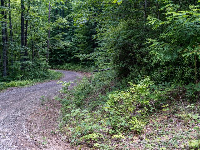 8 Carls Cove Road, Black Mountain, NC 28711