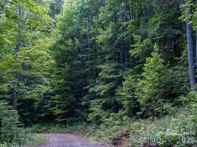 8 Carls Cove Road, Black Mountain, NC 28711
