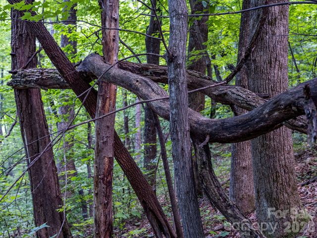 8 Carls Cove Road, Black Mountain, NC 28711