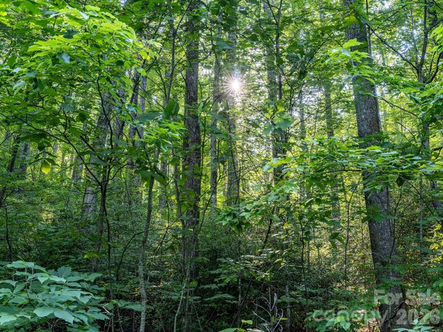 8 Carls Cove Road, Black Mountain, NC 28711
