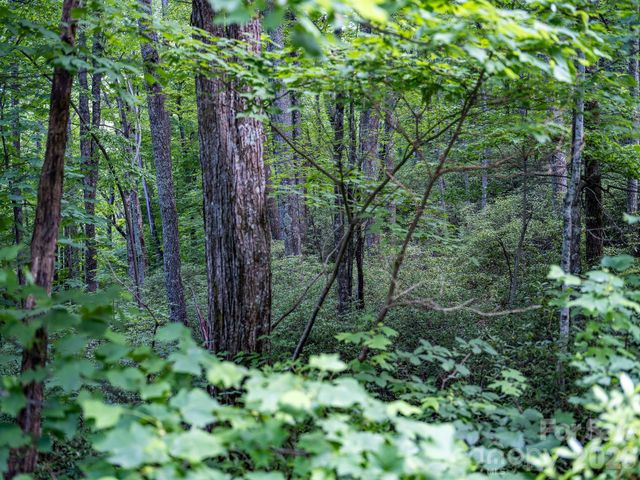 8 Carls Cove Road, Black Mountain, NC 28711