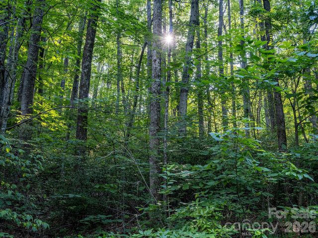 8 Carls Cove Road, Black Mountain, NC 28711