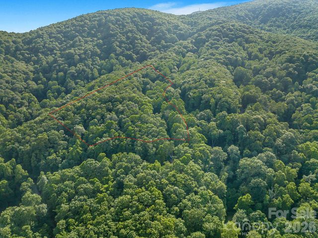 8 Carls Cove Road, Black Mountain, NC 28711