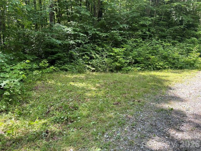 8 Carls Cove Road, Black Mountain, NC 28711