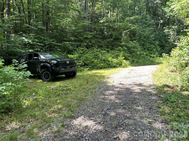 8 Carls Cove Road, Black Mountain, NC 28711