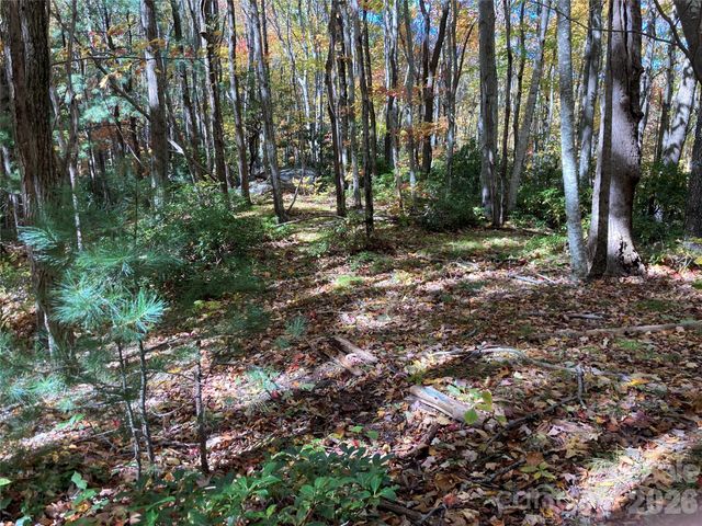 8 Carls Cove Road, Black Mountain, NC 28711