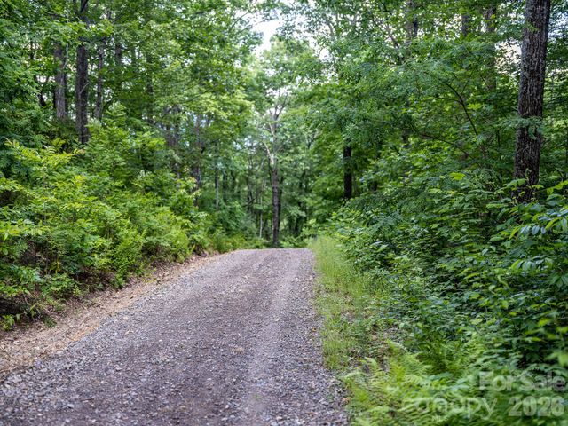 8 Carls Cove Road, Black Mountain, NC 28711