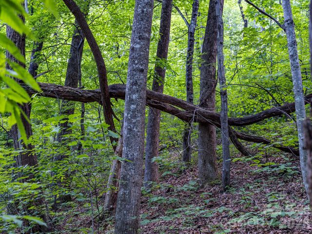 8 Carls Cove Road, Black Mountain, NC 28711