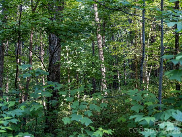 8 Carls Cove Road, Black Mountain, NC 28711