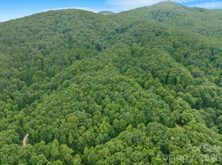 8 Carls Cove Road, Black Mountain, NC 28711