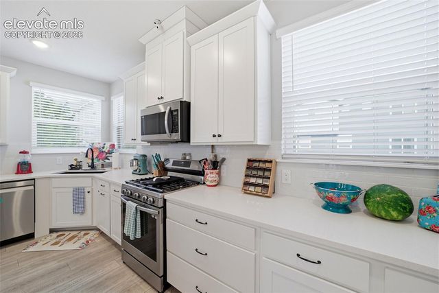 3498 Bivy Point, Colorado Springs, CO 80907