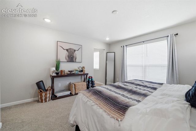 3498 Bivy Point, Colorado Springs, CO 80907