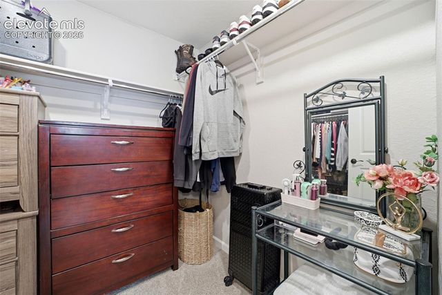 3498 Bivy Point, Colorado Springs, CO 80907