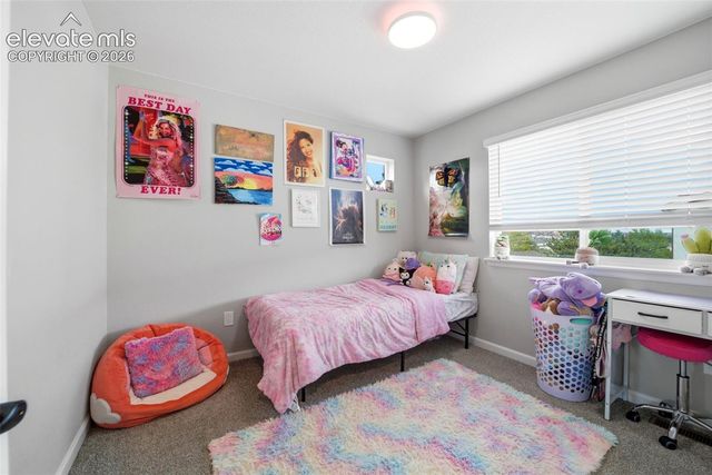 3498 Bivy Point, Colorado Springs, CO 80907