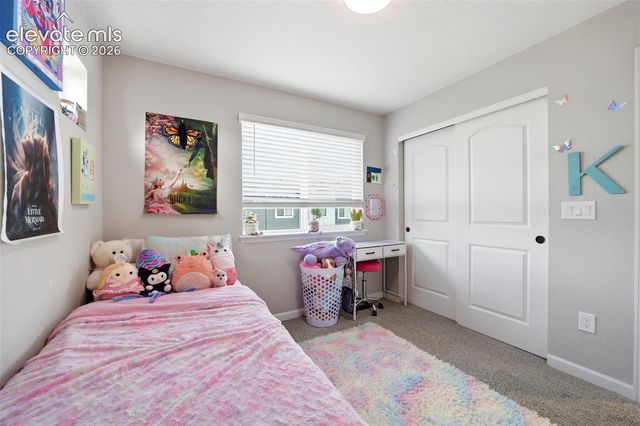 3498 Bivy Point, Colorado Springs, CO 80907