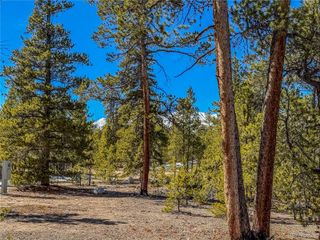 199 Cedar Drive, Twin Lakes, CO 81251