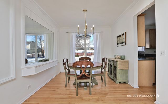 91 Rotterdam Drive, Antioch, IL 60002