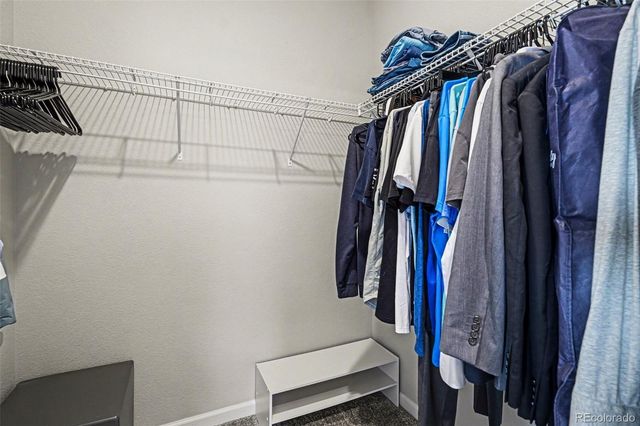 5028 Basalt Ridge Circle, Castle Rock, CO 80108