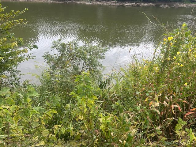 0 Thrush Avenue, Ross Twp, OH 45014