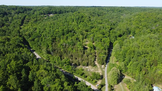 738 Rogues Fork Rd, Bethpage, TN 37022