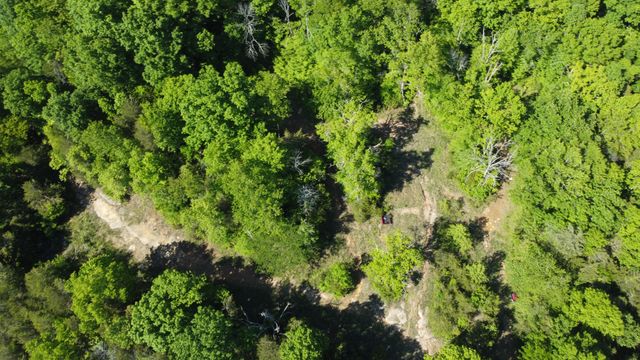 738 Rogues Fork Rd, Bethpage, TN 37022