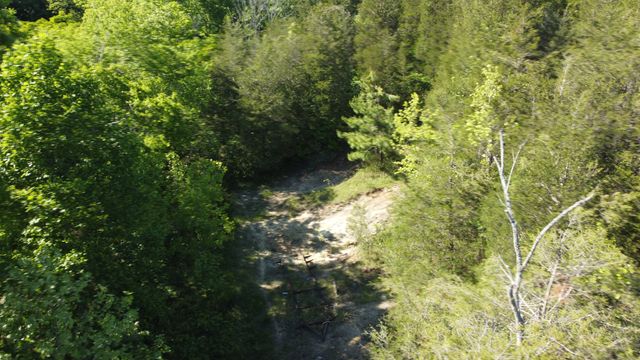 738 Rogues Fork Rd, Bethpage, TN 37022