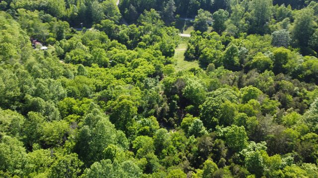 738 Rogues Fork Rd, Bethpage, TN 37022