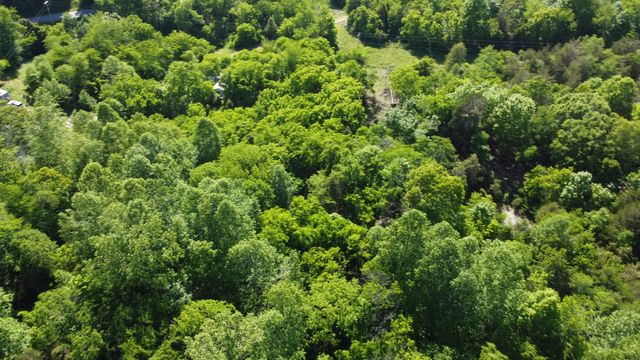 738 Rogues Fork Rd, Bethpage, TN 37022