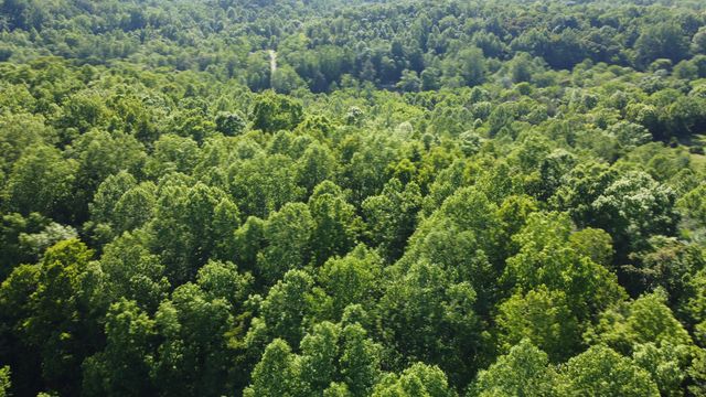 738 Rogues Fork Rd, Bethpage, TN 37022