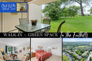 350 South Wildwood Drive, 11, Branson, MO 65616
