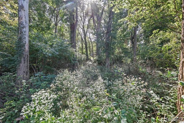 2 Country Hill Lane, Belleville, IL 62221