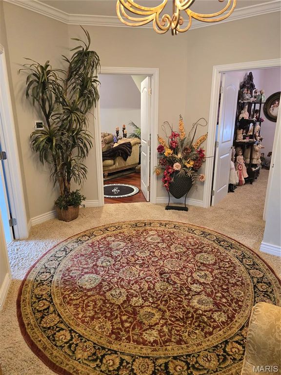 Image 16 of property listing at 113 Whitman Street, Dexter, MO 63841