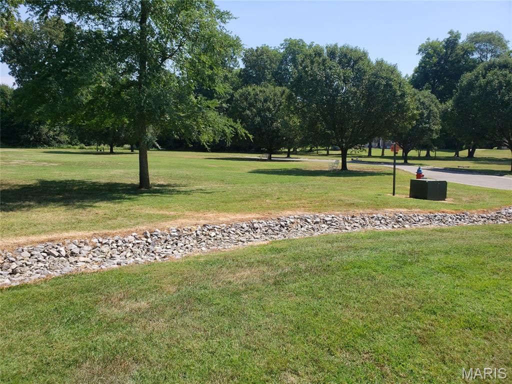 Image 3 of property listing at 113 Whitman Street, Dexter, MO 63841