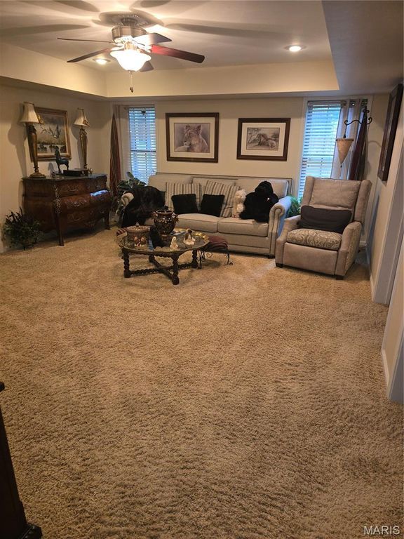 Image 22 of property listing at 113 Whitman Street, Dexter, MO 63841