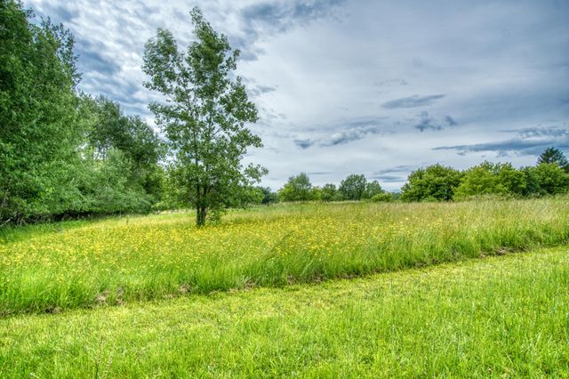 3100 20 Mile Road, Kent City, MI 49330
