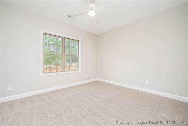 15941 Old Orchard Court, Wagram, NC 28396