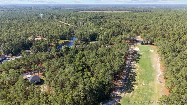 15941 Old Orchard Court, Wagram, NC 28396