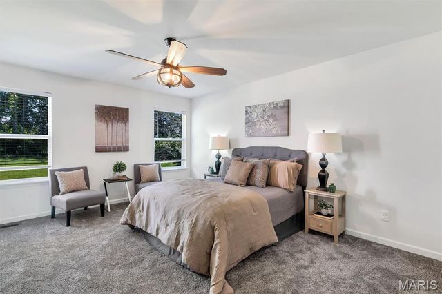 532 Leather Reins, Wentzville, MO 63385