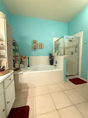 20122 Yellow Canyon Falls Drive, Tomball, TX 77375