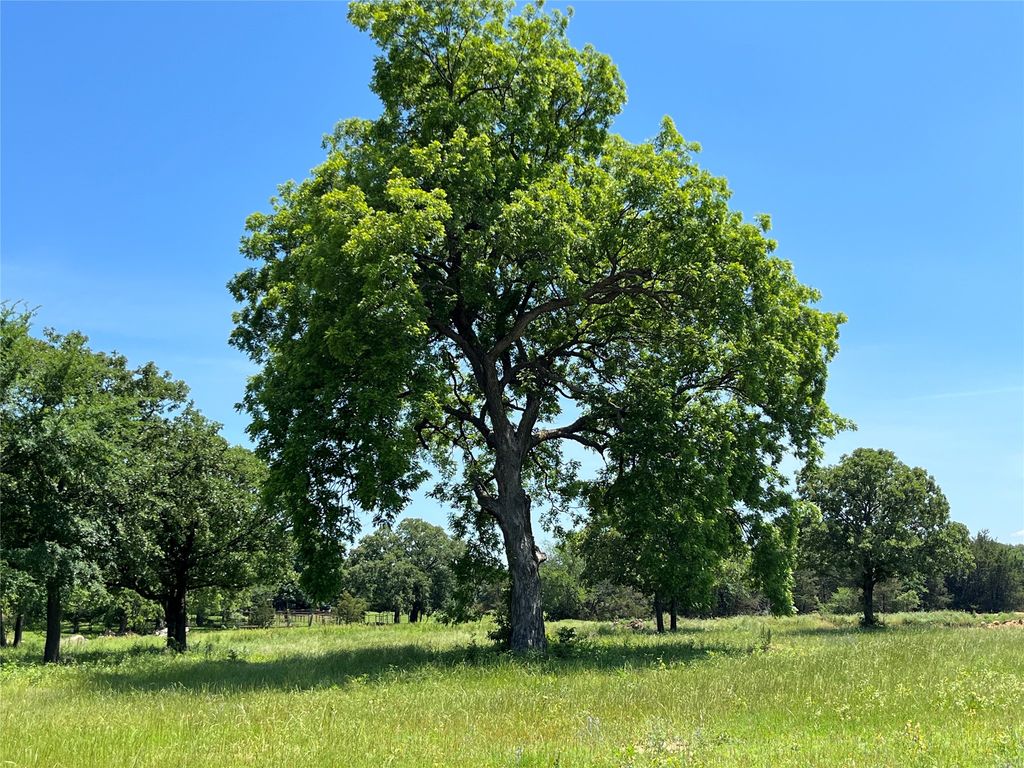 Lot 9 Kiowa Oaks Court, Gainesville, TX 76240