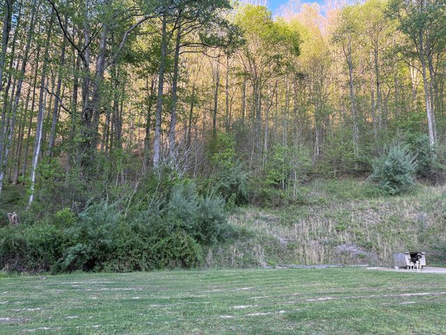 8515 State Highway 223, Flat Lick, KY 40935