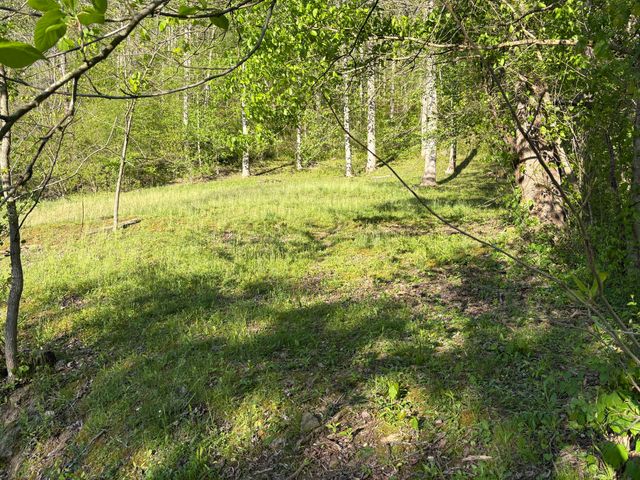 8515 State Highway 223, Flat Lick, KY 40935