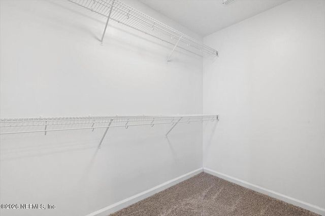9227 CHANDLER OAKS Court, Jacksonville, FL 32221