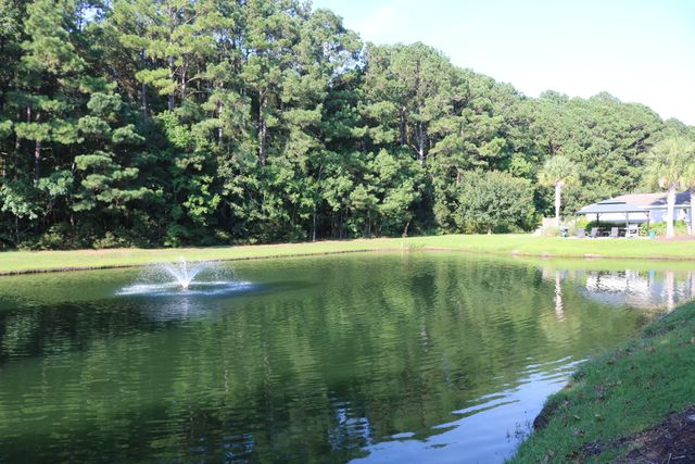 1300 Park West Boulevard Unit 401, Mount Pleasant, SC 29466