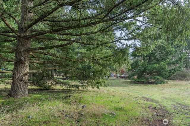 11025 Vancil Road SE, Yelm, WA 98597