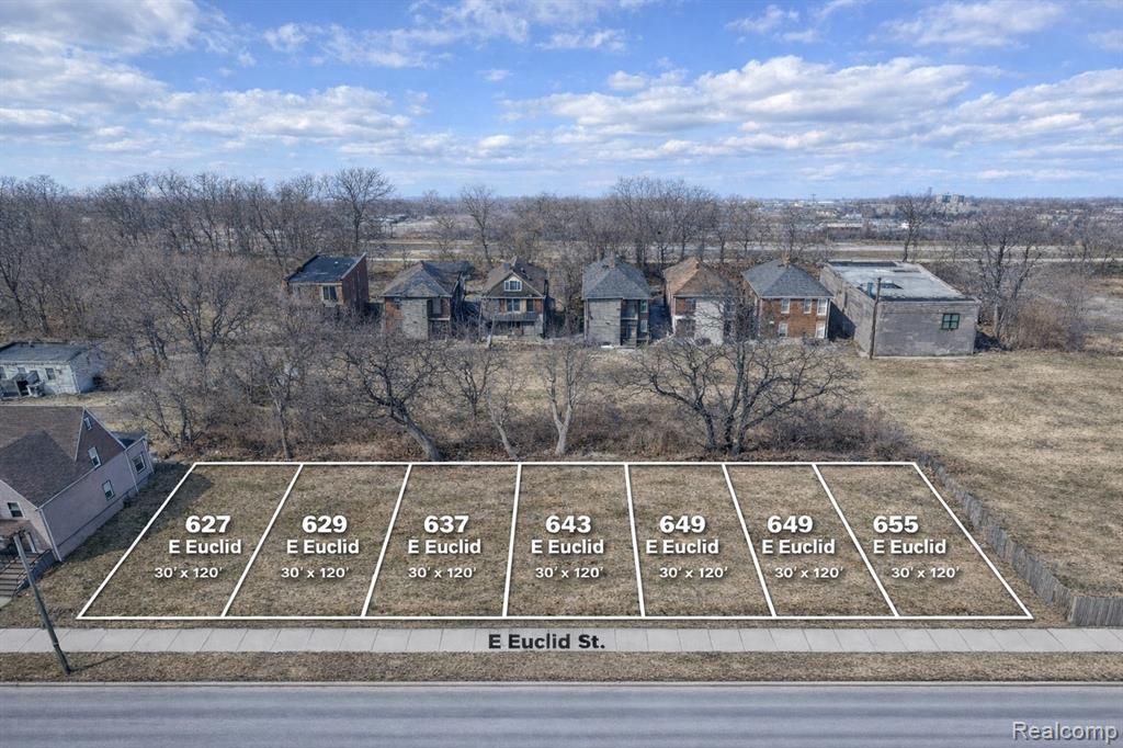 629 E Euclid Street, Detroit, MI 48202