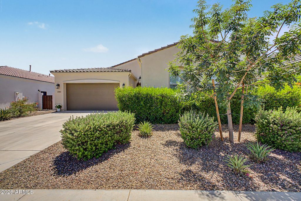 3983 W SERPENTINE Drive, San Tan Valley, AZ 85144 — photo 2